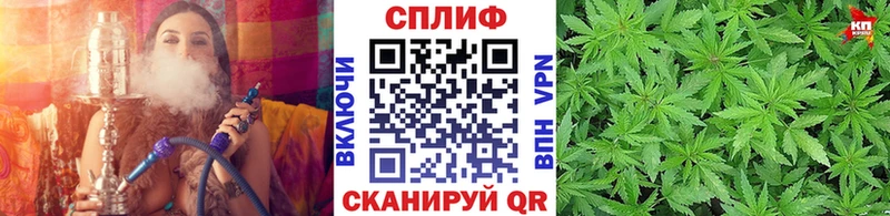 Бошки марихуана Amnesia  Купить закладки  Кирсанов 